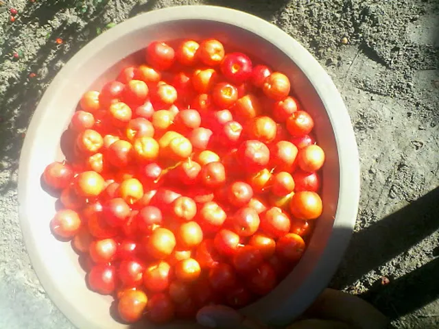 Hotel & Restaurant St. Anthony