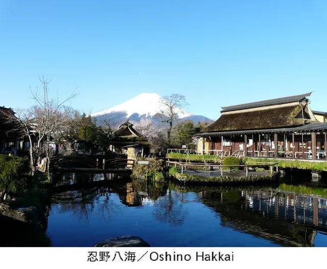 ペンション カントリーダイアリー