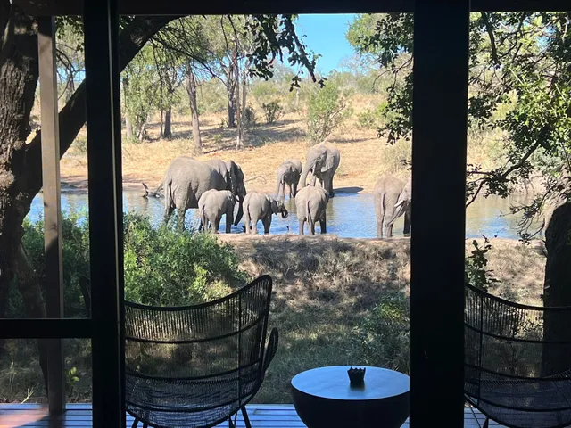 Kolokwé - Des safaris sur-mesure