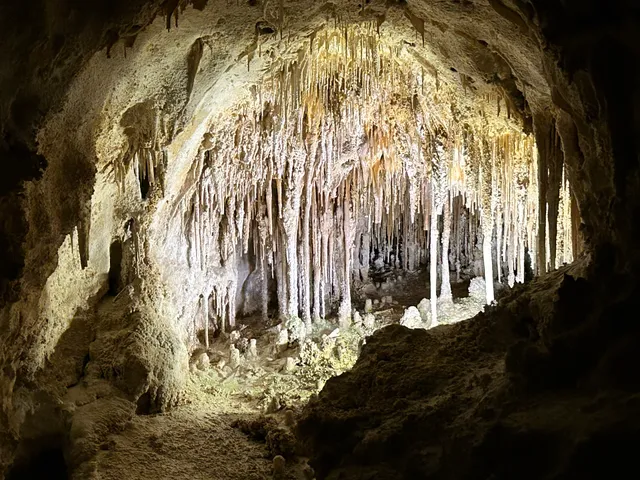 Carlsbad Cavern Picnic Area