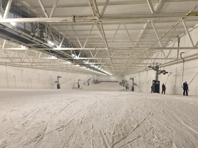 Snozone