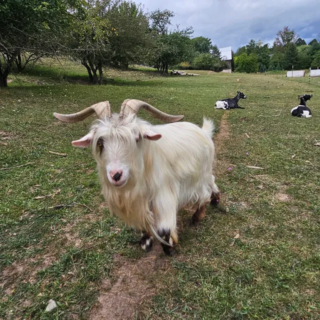 Polish Heritage Farm