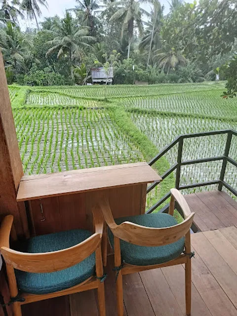 Ayurvedic Indian Kitchen