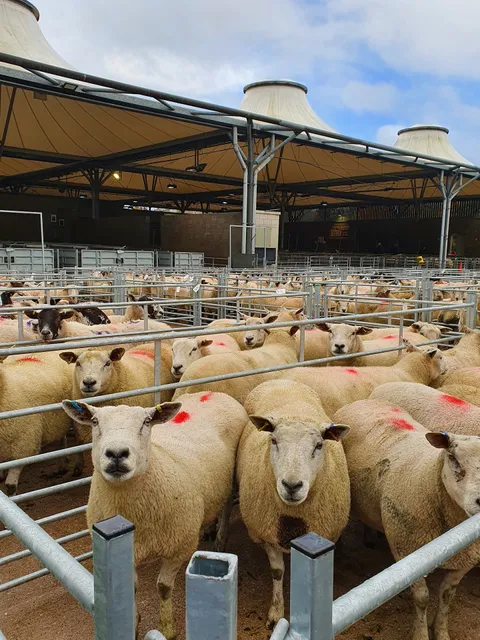 Bakewell Agricultural & Horticultural Society