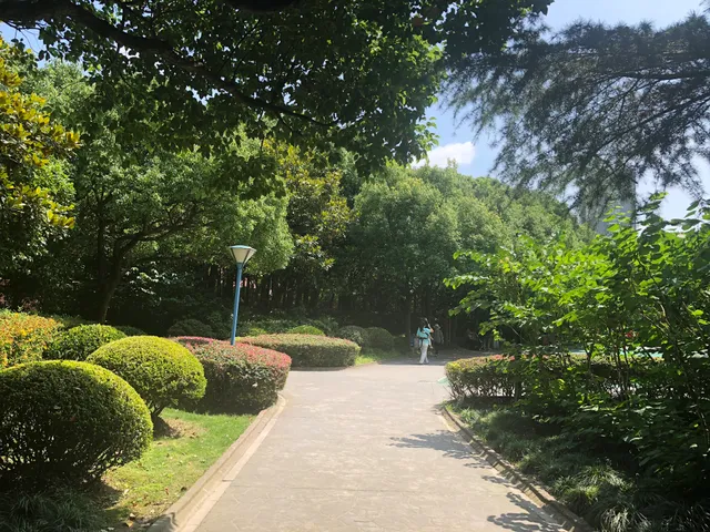 Jingnan Park （North Gate）