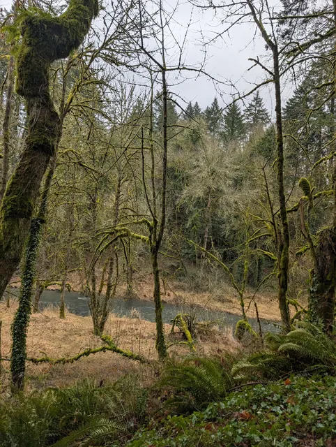 Lacamas Creek Trailhead