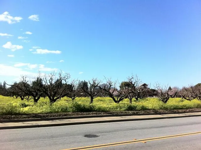 Orchard Heritage Park (Apricot Orchard Barn)