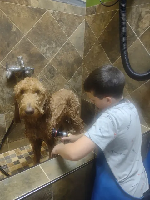 Wagging Tails Pet Shop