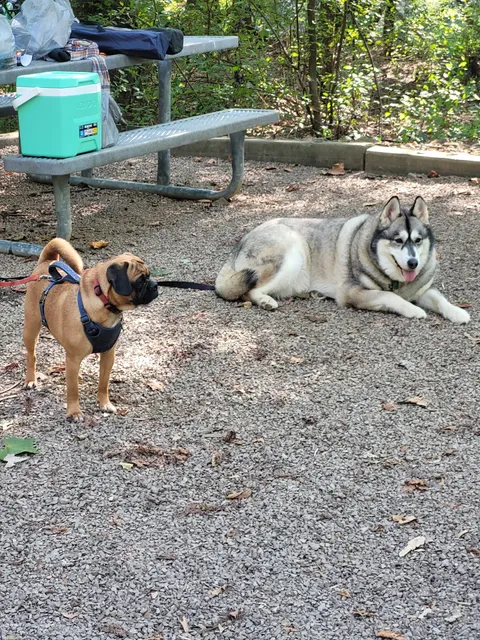 Mill Run Recreation Area