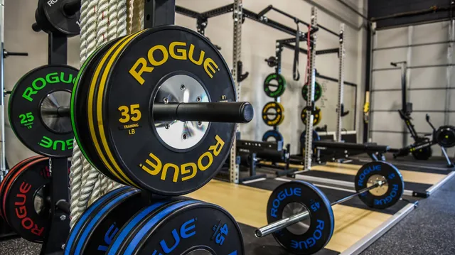 Progressive Fitness and Performance