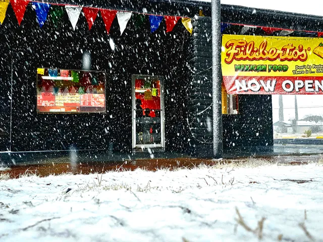 Filiberto's Mexican Food