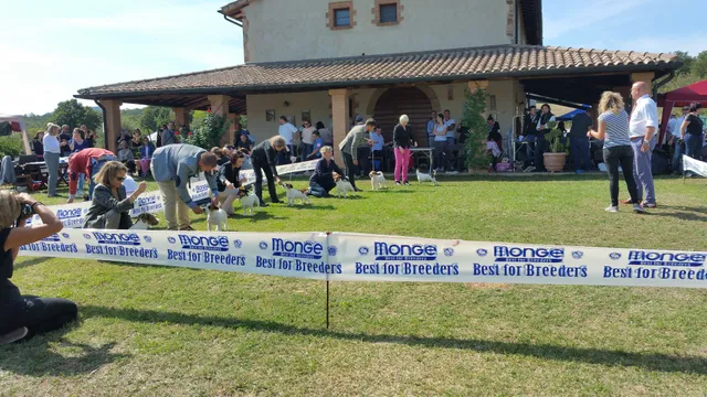 Agriturismo Greppa Bovi