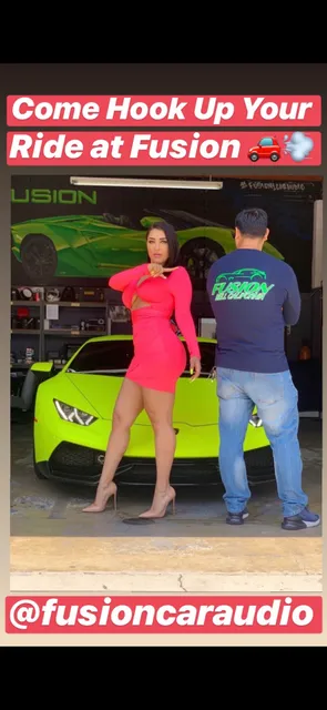 Fusion Car Audio Alarm Tint and Multimedia