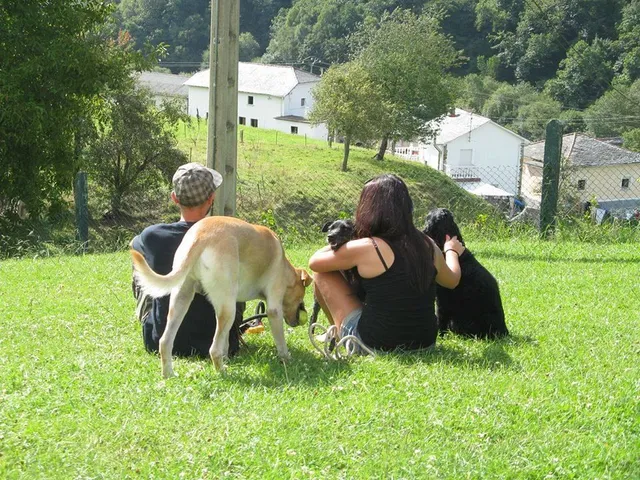 Apartamentos Rurales Casa El Caminero (Asturias)
