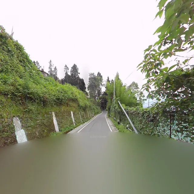 Orchid Restaurant - Club Mahindra Royal Demazong Resort, Sikkim