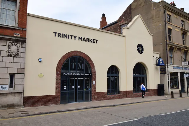 Crow Butterfly Horror