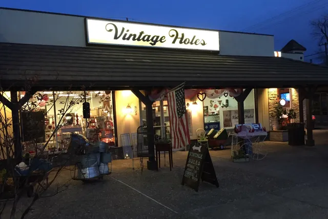 Vintage Holes