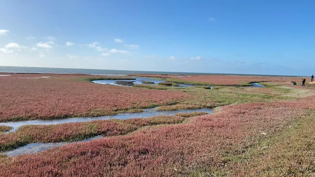 Walvis Bay Lagoon Safe View Point 2