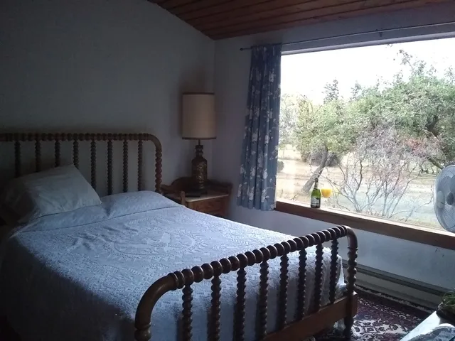 Swallow's Nest Guest Cottages