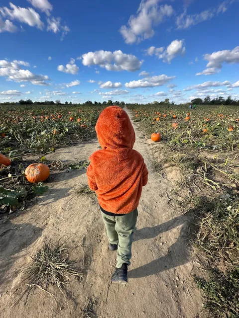 Beasley's Orchard