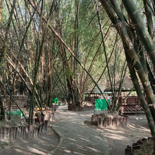 Lubao Bamboo Hub & Eco-Park