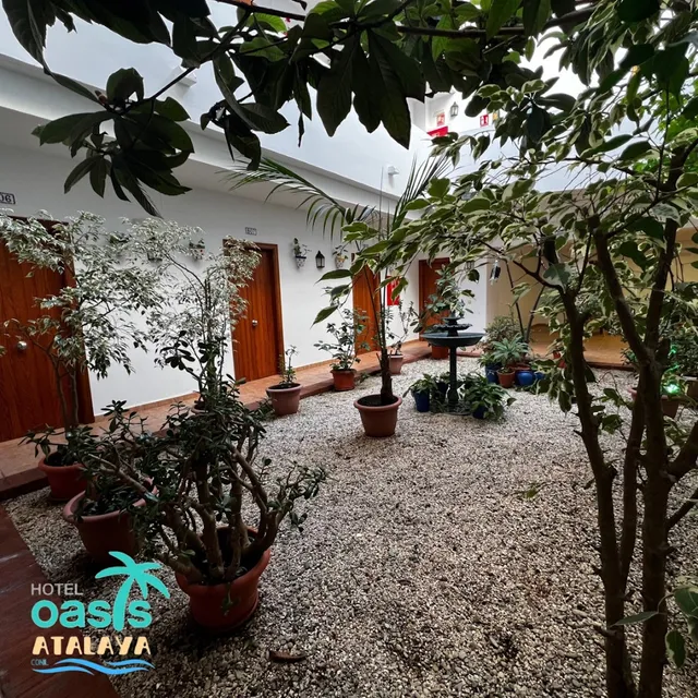 Hotel | Oasis Atalaya | Conil