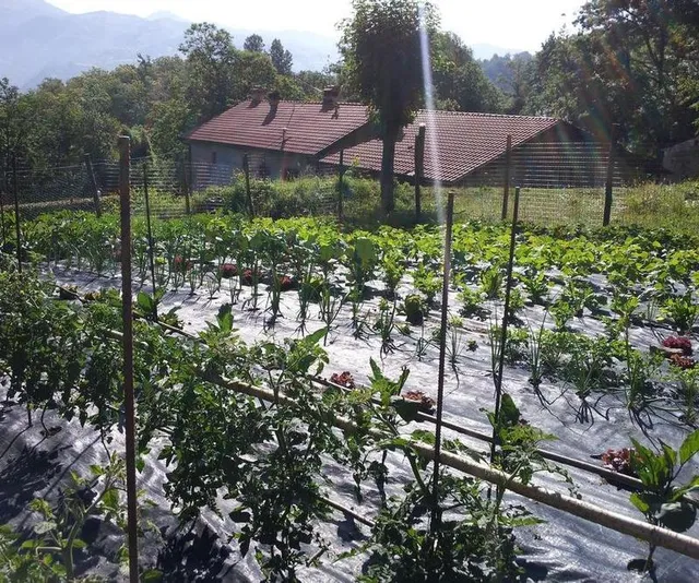 Agriturismo I Tre Porcellini