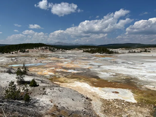 Norris Porcelain Basin