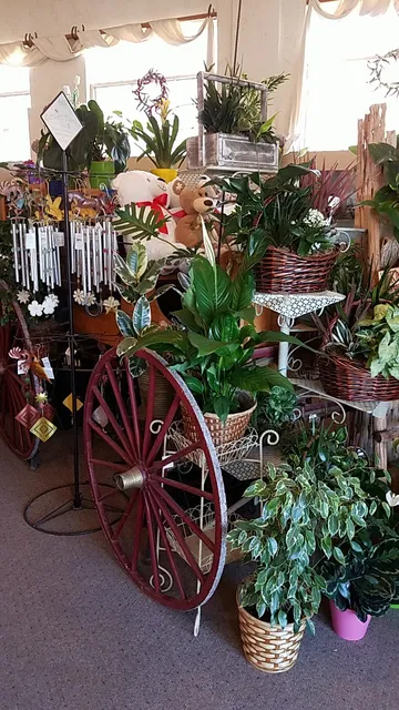 A New Creation Flowers & Gifts