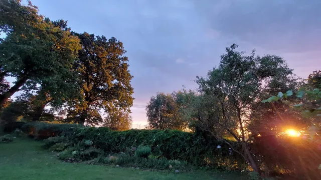 Drachenhof Hyggehaus /Ferienhaus/Seminarhaus/Auszeithaus/ Mentoring für Human Empowerment