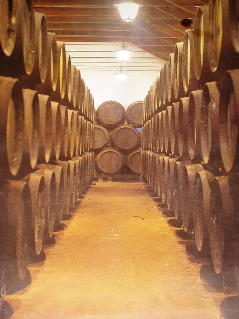 Bodegas Montes y Compañía