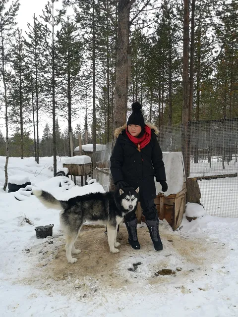 ArcticDiscovery|Киты Териберки|Морские прогулки