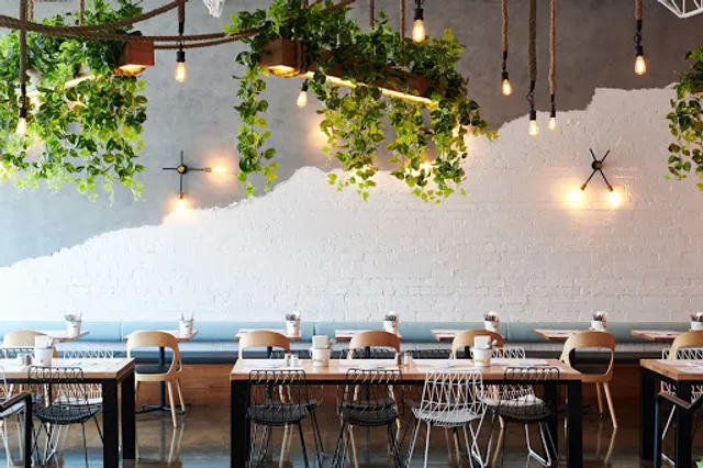 The Fish & Burger Co. | Home to Yo-Lo Frozen Yoghurt & Acai