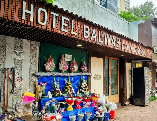 Hotel Balwas International