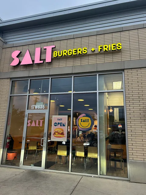 SALT burgers + fries