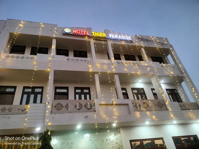 The Tiger Paradise - Sariska