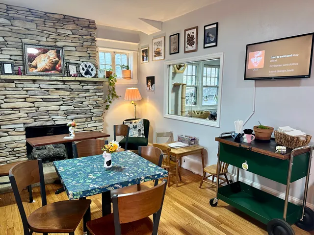 The Toebean Cat Cafe