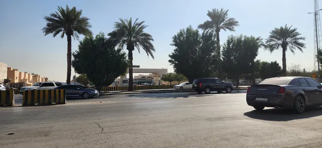 Dates - market & Vegetables Markets