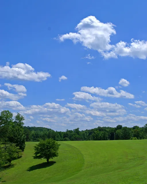The Golf Course at Williamsburg