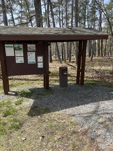 Caney Creek Recreation Area - Angelina National Forest