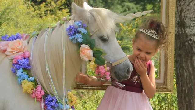 Brookvalley Farm, LLC