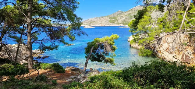 Apartments Marijana-Portorus