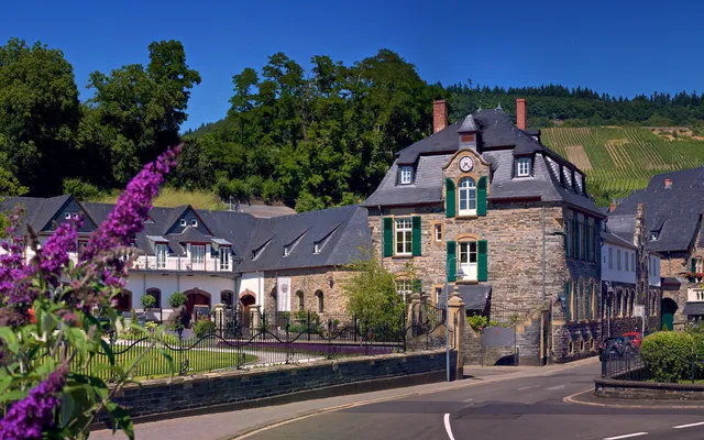 Weingut Schloss Lieser Inh. Thomas Haag