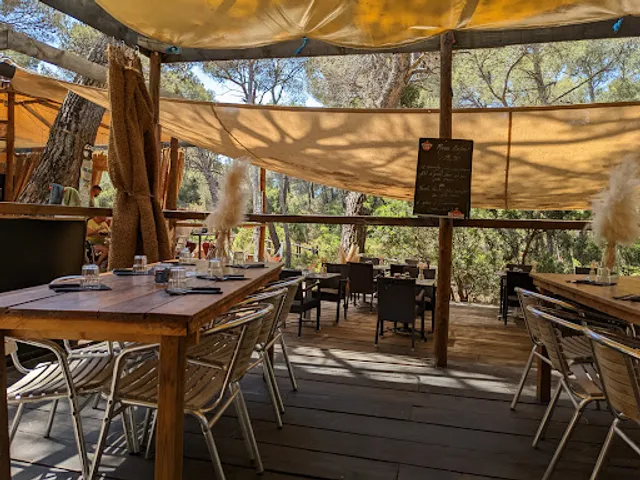 A Piniccia di Saleccia