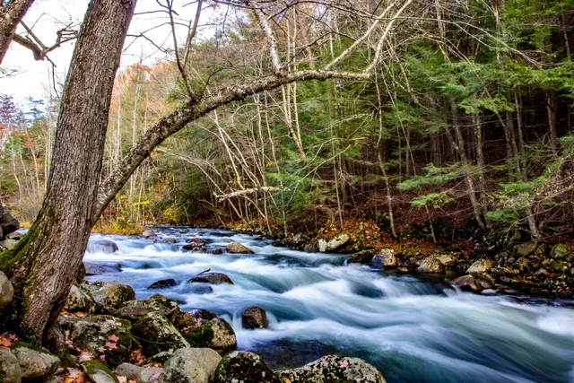 Mill Stream Park - Newfound Lake Watershed