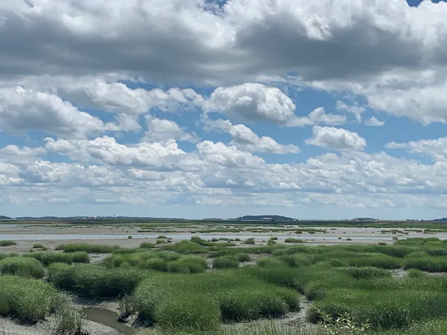 East Boston Greenway Connector