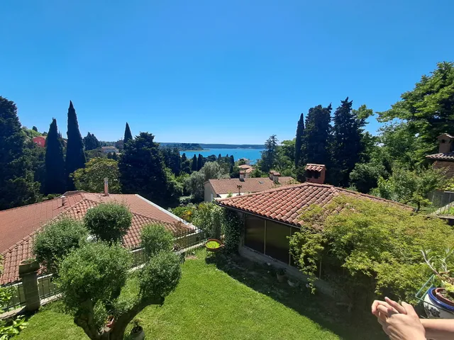 Vladoša Puc - Sobodajalka