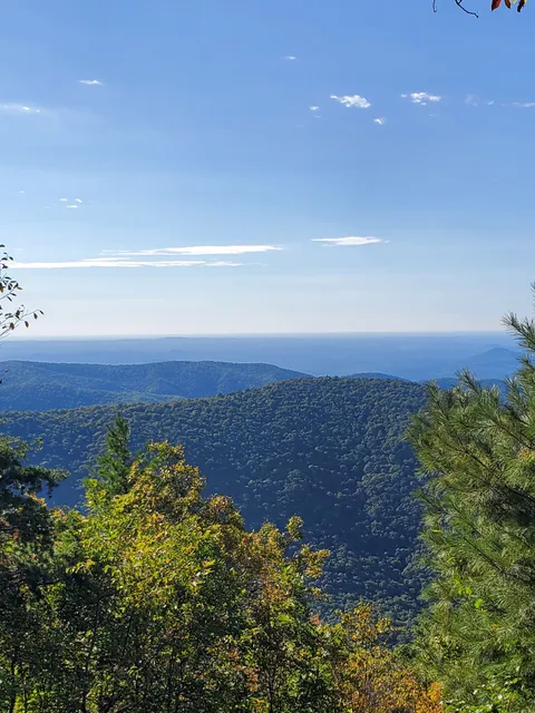 Tray Mountain/ Appalachian Trail