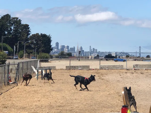 Main Street Dog Park