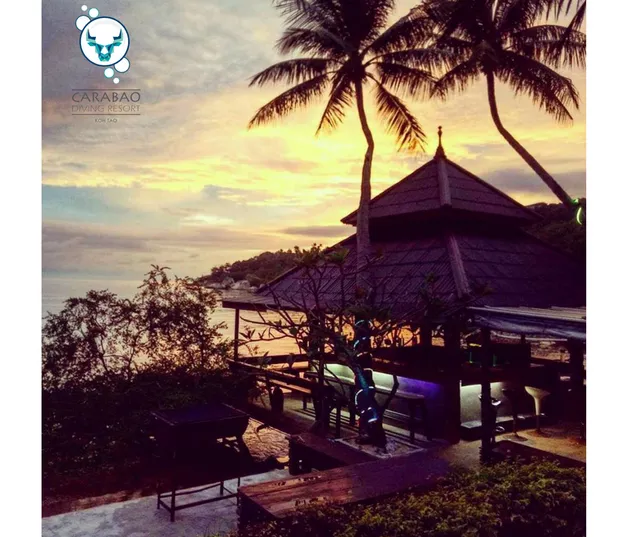 Carabao Dive Resort